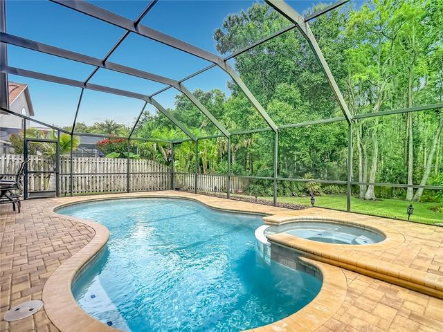 4706 MIRABELLA PLACE, Lutz, FL 33558