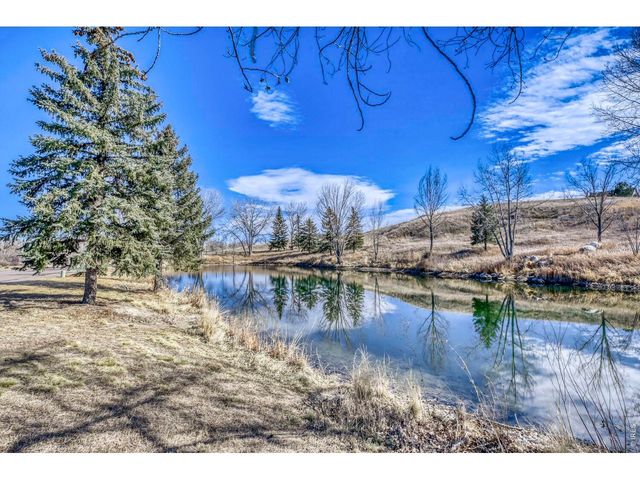 1966 Hillside Pl, Windsor, CO 80550