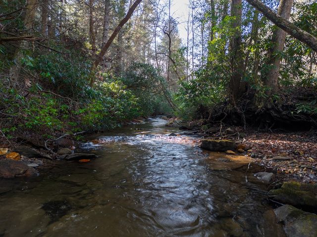 100 Stanley Creek Xing, Cherry Log, GA 30522