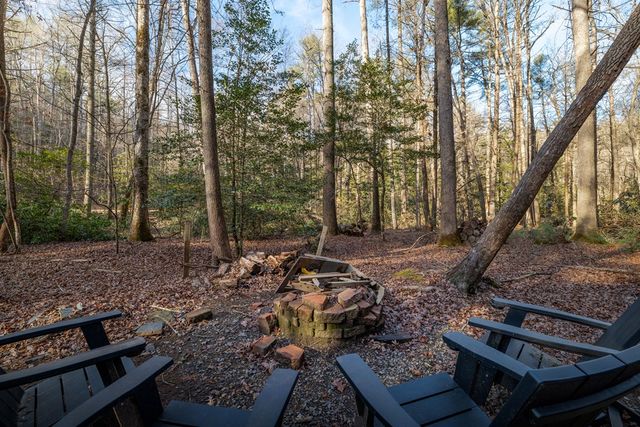 100 Stanley Creek Xing, Cherry Log, GA 30522