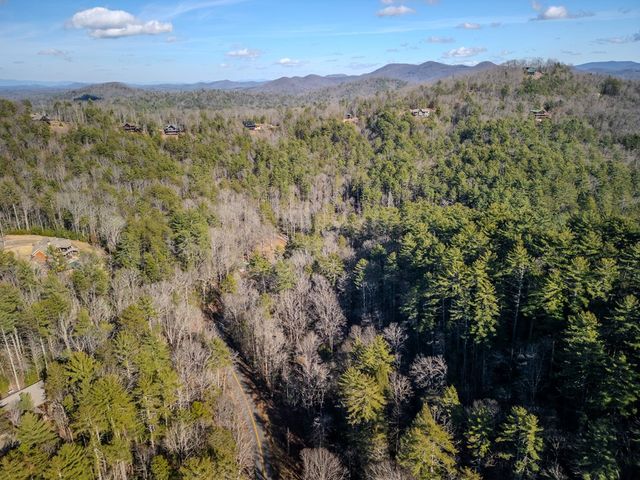 100 Stanley Creek Xing, Cherry Log, GA 30522