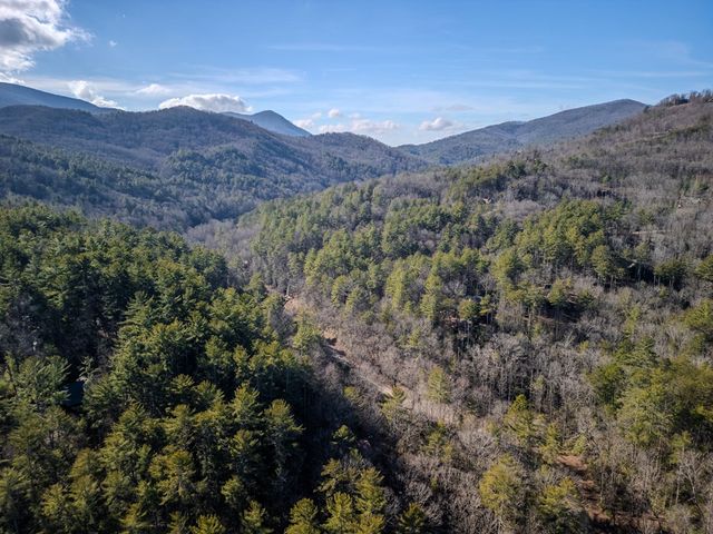 100 Stanley Creek Xing, Cherry Log, GA 30522