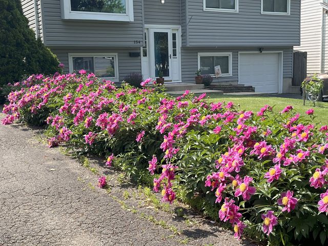 154 S Ellyn Avenue, Glen Ellyn, IL 60137