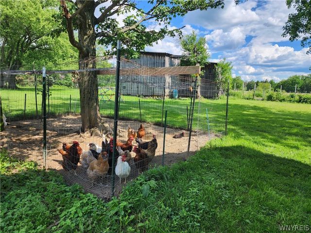 6097 Seufert Road, Orchard Park, NY 14127