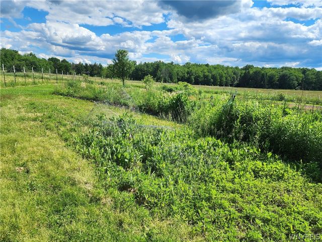 6097 Seufert Road, Orchard Park, NY 14127
