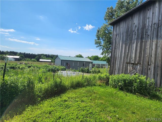 6097 Seufert Road, Orchard Park, NY 14127
