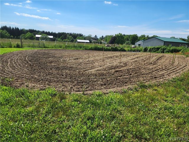 6097 Seufert Road, Orchard Park, NY 14127
