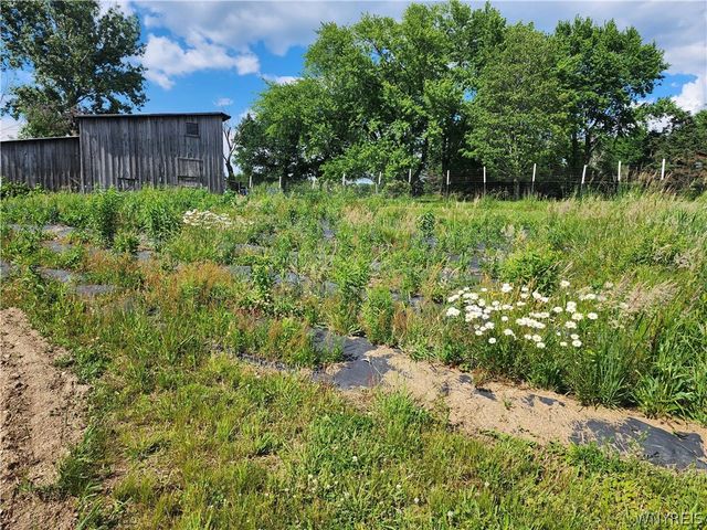 6097 Seufert Road, Orchard Park, NY 14127