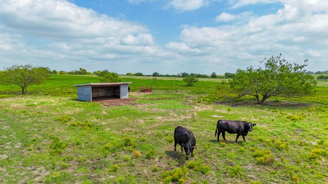 8436 County Road 1040, Rice, TX 75155