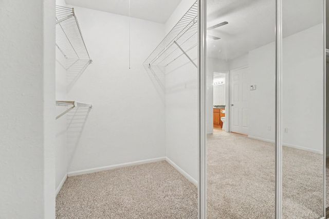 2425 Holly Hall Street 139, Houston, TX 77054