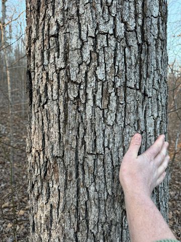 3900 Roan Creek Rd, Linden, TN 37096