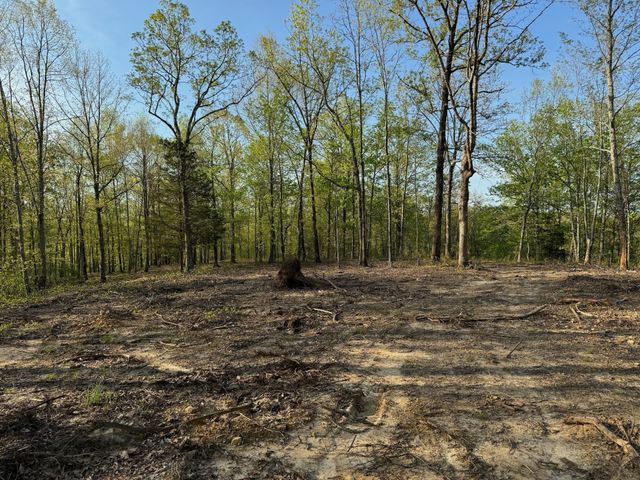 3900 Roan Creek Rd, Linden, TN 37096