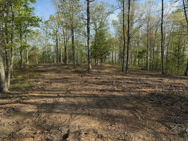 3900 Roan Creek Rd, Linden, TN 37096