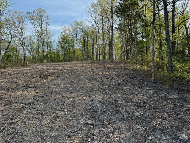 3900 Roan Creek Rd, Linden, TN 37096