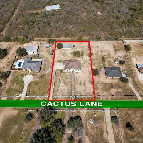 303 Cactus Lane, Edinburg, TX 78541