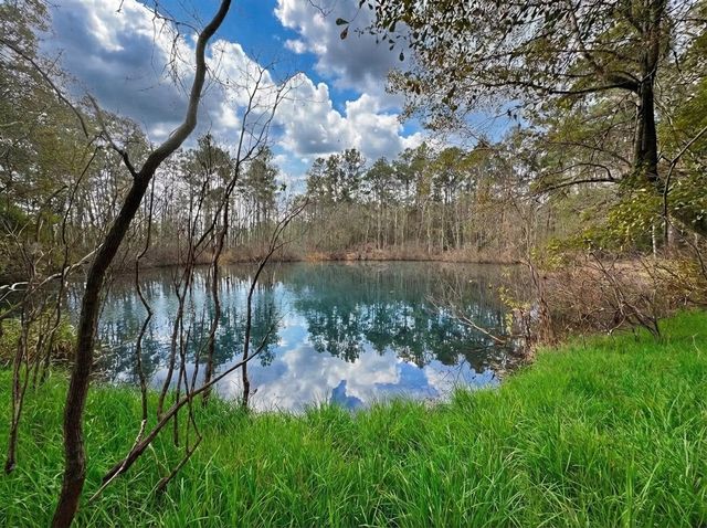 lot 175 County Road 3017c, Dayton, TX 77535