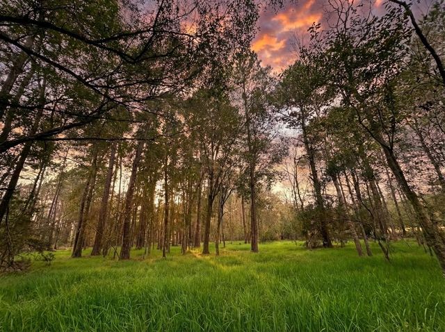 lot 175 County Road 3017c, Dayton, TX 77535