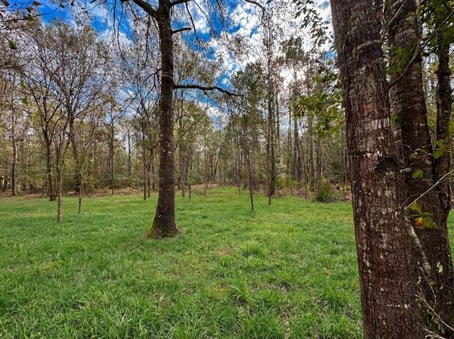 lot 175 County Road 3017c, Dayton, TX 77535