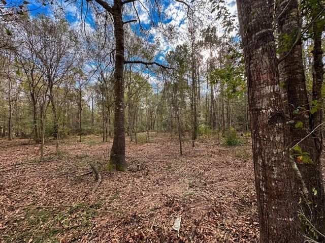 lot 175 County Road 3017c, Dayton, TX 77535