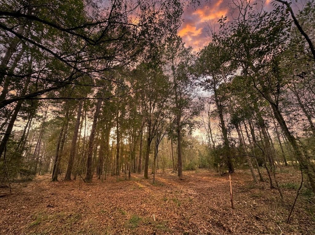 lot 175 County Road 3017c, Dayton, TX 77535