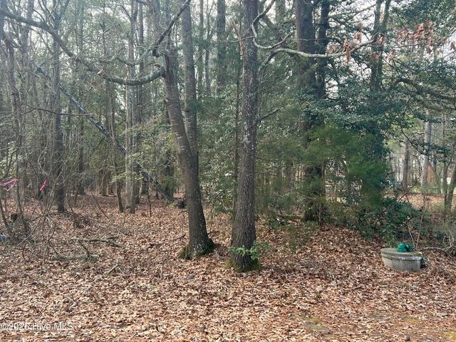 0 Bridgersville Road, Macclesfield, NC 27852
