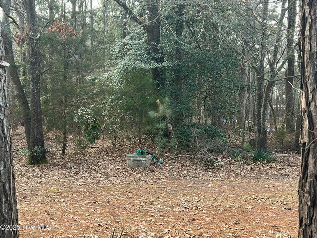 0 Bridgersville Road, Macclesfield, NC 27852