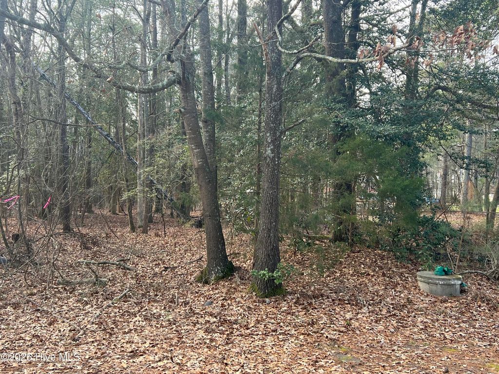 0 Bridgersville Road, Macclesfield, NC 27852