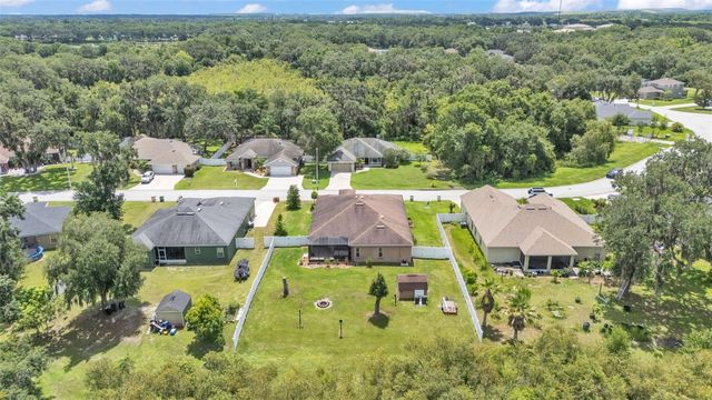 2932 BLACKWATER OAKS DRIVE, Mulberry, FL 33860