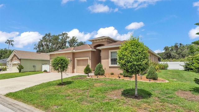 2932 BLACKWATER OAKS DRIVE, Mulberry, FL 33860