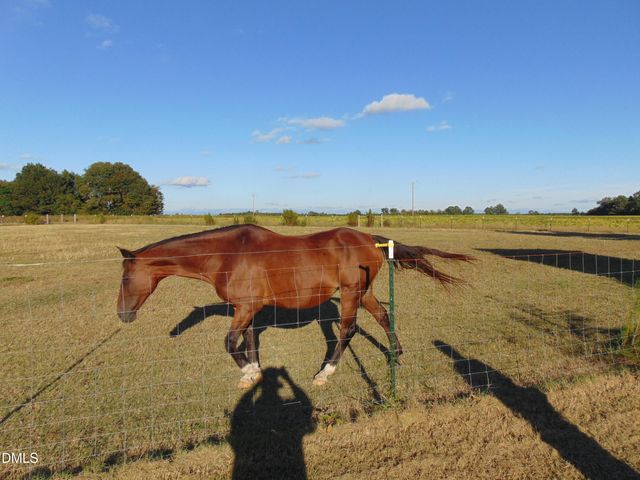 13619 Us Highway 258, Scotland Neck, NC 27874