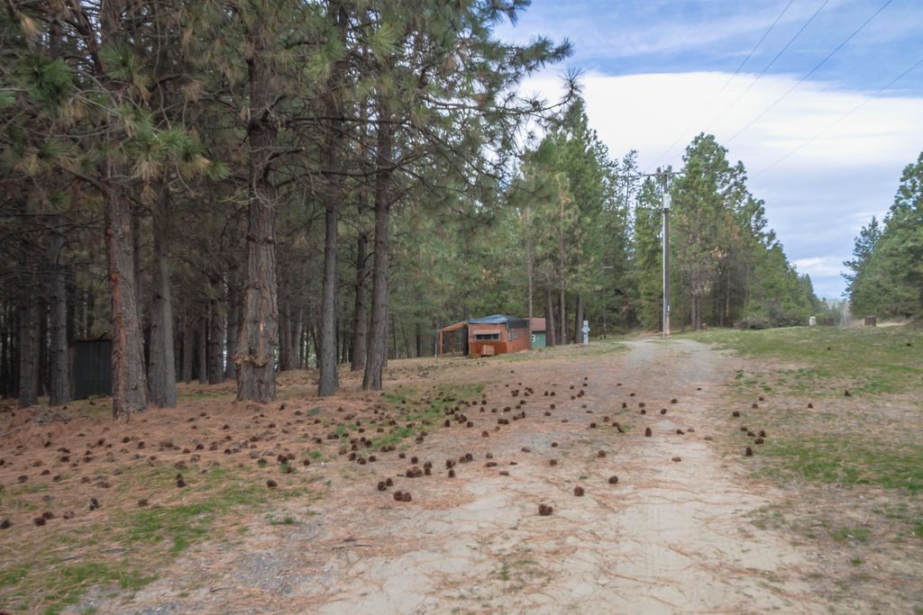 1274 F Peachcrest Rd, Kettle Falls, WA 99141 photo 5