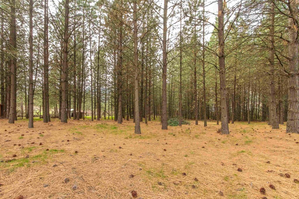 1274 F Peachcrest Rd, Kettle Falls, WA 99141 photo 6