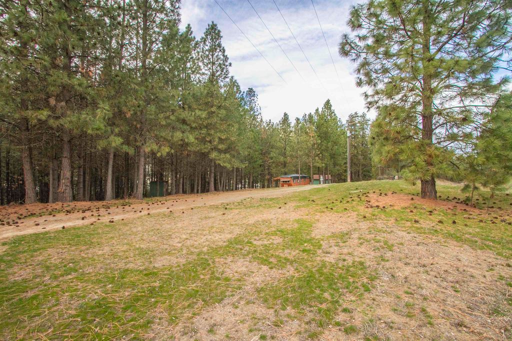 1274 F Peachcrest Rd, Kettle Falls, WA 99141 photo 7