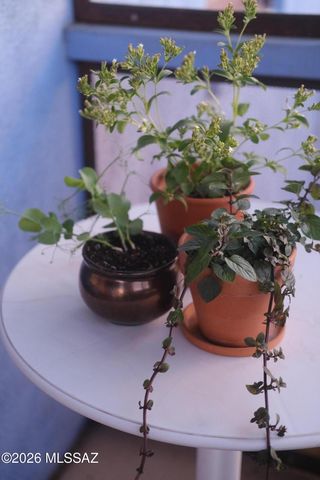 825 S Osborne Avenue, Tucson, AZ 85701