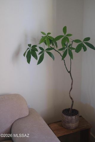 825 S Osborne Avenue, Tucson, AZ 85701