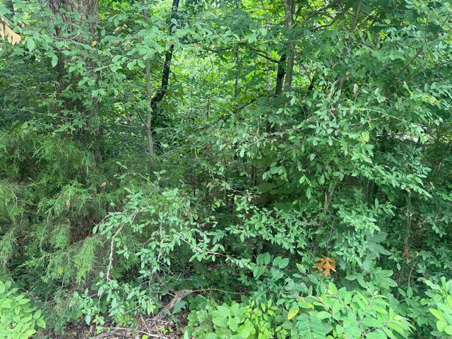 000 Iroquois Drive, Cherokee Village, AR 72529