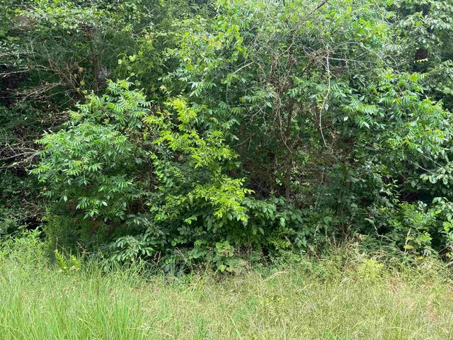 000 Iroquois Drive, Cherokee Village, AR 72529