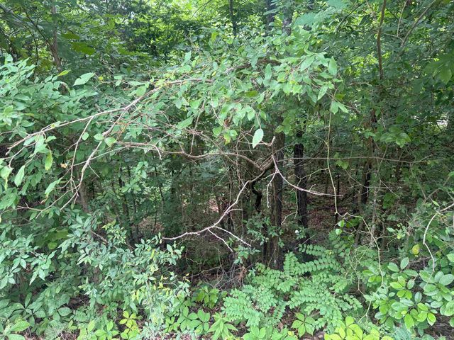 000 Iroquois Drive, Cherokee Village, AR 72529