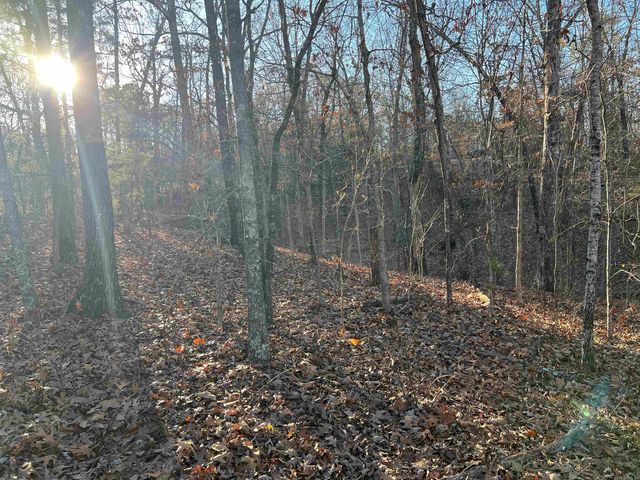 000 Iroquois Drive, Cherokee Village, AR 72529