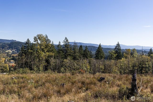 31807 NE 122nd Avenue, Battle Ground, WA 98604