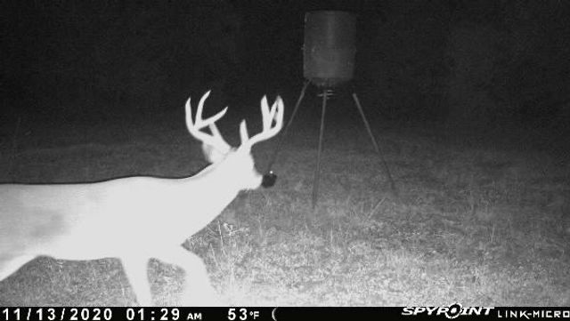 15301 County Road 4018, Kemp, TX 75143