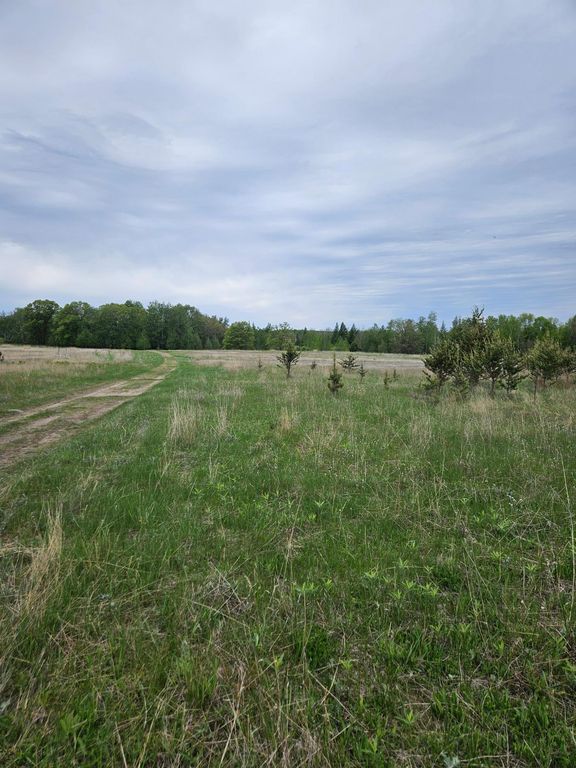 tbd Pillager Creek Trail SW, Sylvan Twp, MN 56473