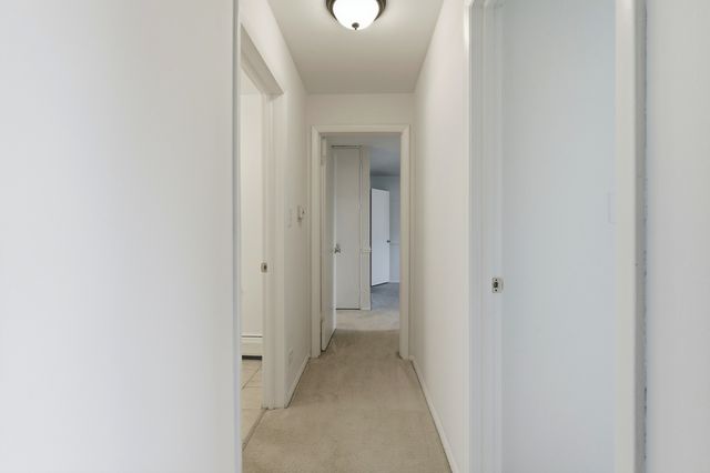 2620 N Windsor Drive 204, Arlington Heights, IL 60004