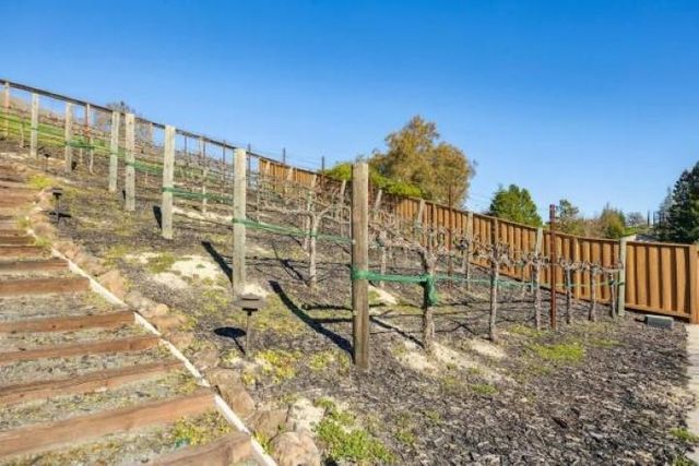 387 Golden Grass Dr, Alamo, CA 94507