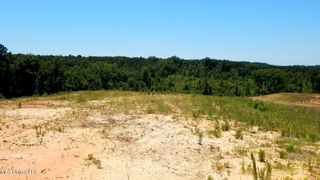 806 Hugh White State Park Road, Grenada, MS 38901