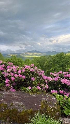 770 Discovery Place, Sylva, NC 28779