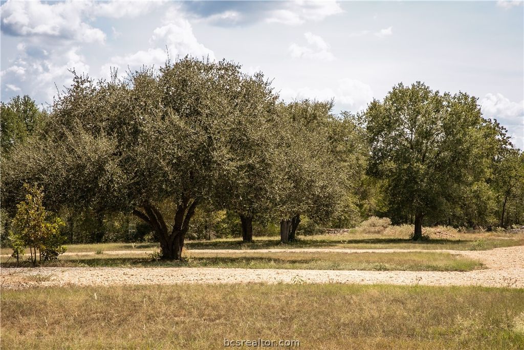 5848 FM 180, Ledbetter, TX 78946 — photo 3