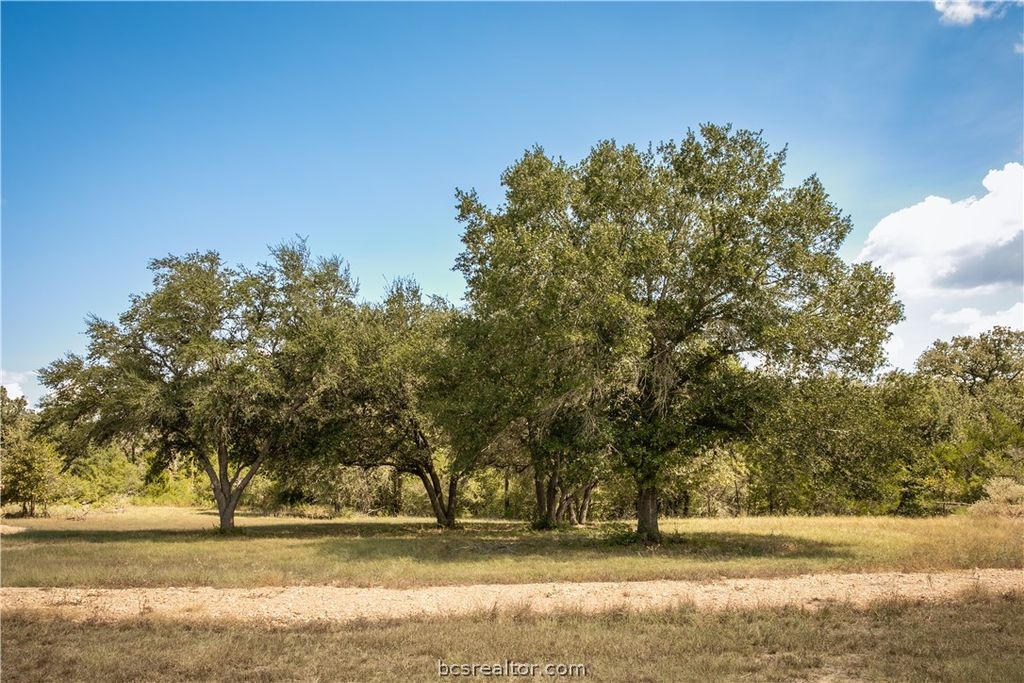 5848 FM 180, Ledbetter, TX 78946 — photo 4