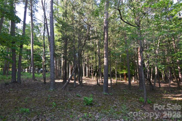 8013 Water View Drive 4, Belmont, NC 28012