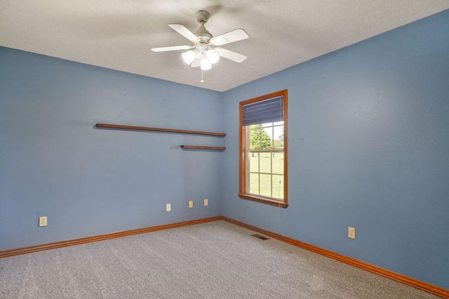 250 Tallgrass Road, Ozark, MO 65721